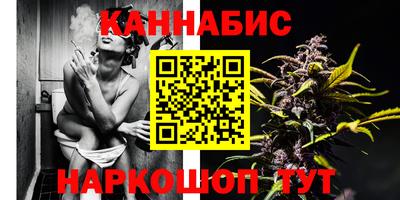МДПВ Новодвинск