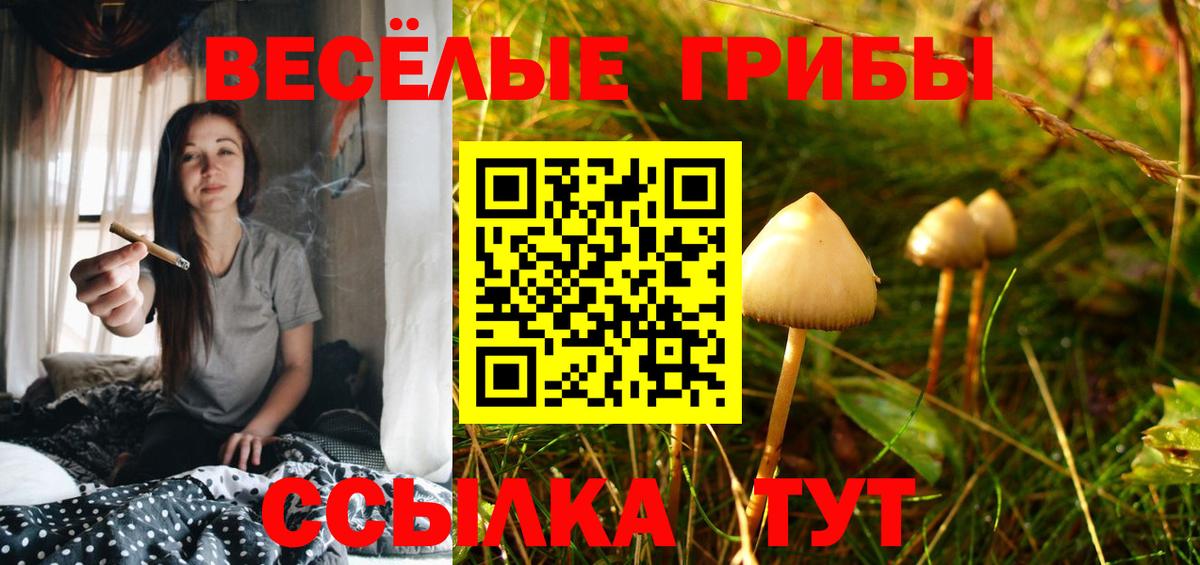 Галлюциногенные грибы GOLDEN TEACHER Заринск