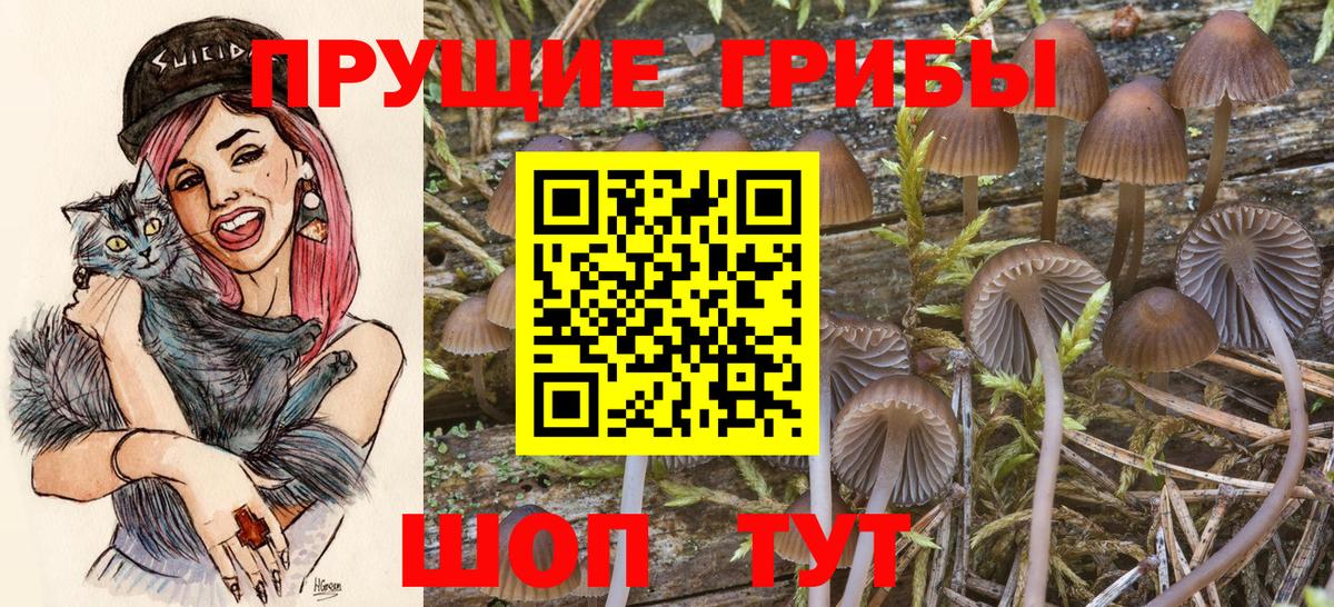 Псилоцибиновые грибы мицелий  Вход с VPN  Галлюциногенные грибы Psilocybe  Заринск 