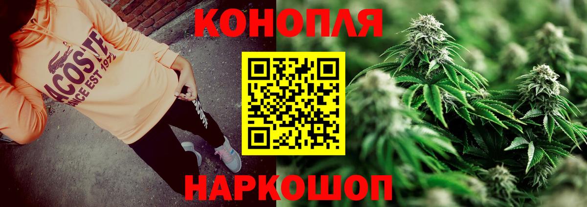 Марихуана план Заринск